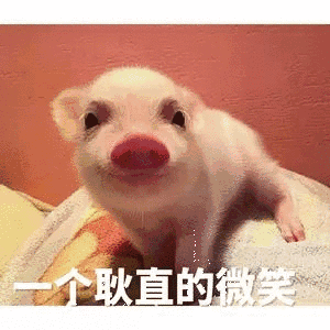 小家伙真是太搞笑了,又好可爱呀#家有熊孩子-vlog视频