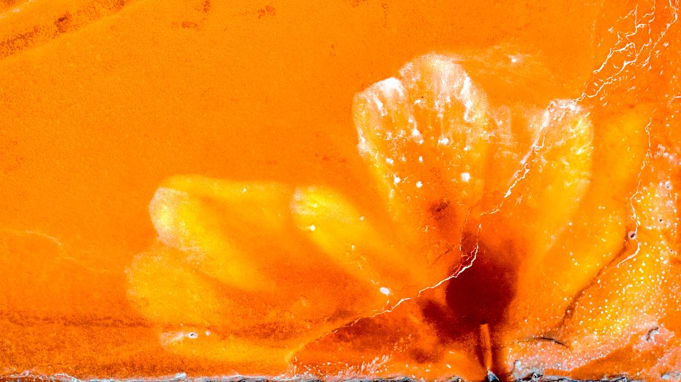 《盐湖之花》
单幅类
定边盐湖 在桔黄色的盐水中盐晶体形成了一朵绚丽花朵 拍摄时间：2022年6月6日
坐标：37°44′10.55″N ，107°30′52.24″ E（马俊清 辽宁盘锦）