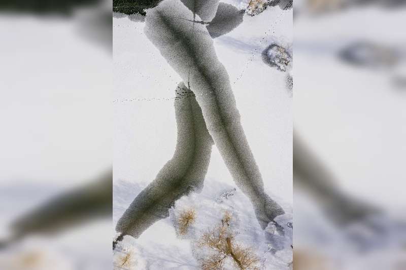 《走过胡杨林》 2021年12月，新疆尉犁县33团葫芦岛。冬天，冰面上出现了罕见的裂纹，像一双腿，走过胡杨林。
