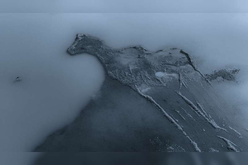 《马逐飞鸟》 2023年3月3日，江苏宜兴云湖风景区。