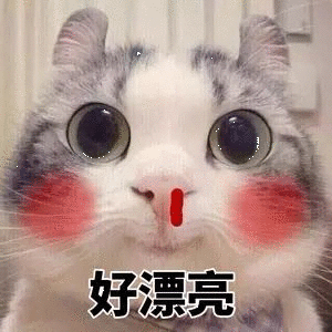 梦之reckoner         哇塞,真的好美啊!