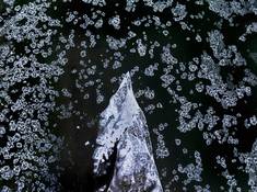 《黄河之水天上来》2024年11月28日，青海果洛。