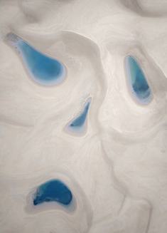 《大自然肖像》大自然会不经意间描绘出出人意料的画面，稍加留意就能发现转瞬即逝的美妙画面。