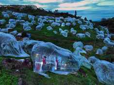 《果场夜色》广东肇庆市麒麟山李子种植基地，果农为了把新鲜水果及时送往市场，趁着夜色赶摘李子。