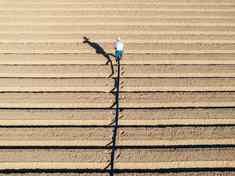 《在希望的田野上》春风犁开褐色的浪，塑料膜下，嫩芽正编织绿网。背喷雾器的身影掠过，阳光碎成千万点金箔，粘在汗湿的斗笠边缘。耕机扬起尘烟，像大地在书写新的诗行，脚印一行行嵌进垄沟，而远处的纸箱方阵，正等待装下整个季节的丰盈。这里，每片叶子都举着光，每道褶皱的田垄，都是时光镌刻的掌纹——泥土会记得，风会记得，那些俯身播种的人，如何把日子，种成跳动的脉搏。#热爱依燃