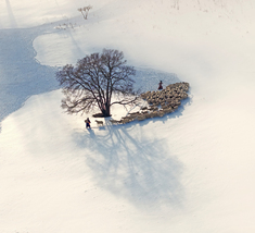 【单幅】牧羊图，冬日雪岭，牧羊人赶着羊群走过雪地，地上落着羊群踏过的足迹和冬树的影子……