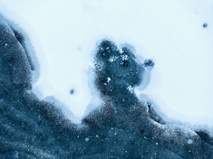 《冰湖幻象》2024年12月7-9日摄于新疆克拉玛依，冬季的第一场雪后，白雪覆盖的湖面上，出现一幅幅千姿百态、妙趣横生的蓝冰抽象图案。